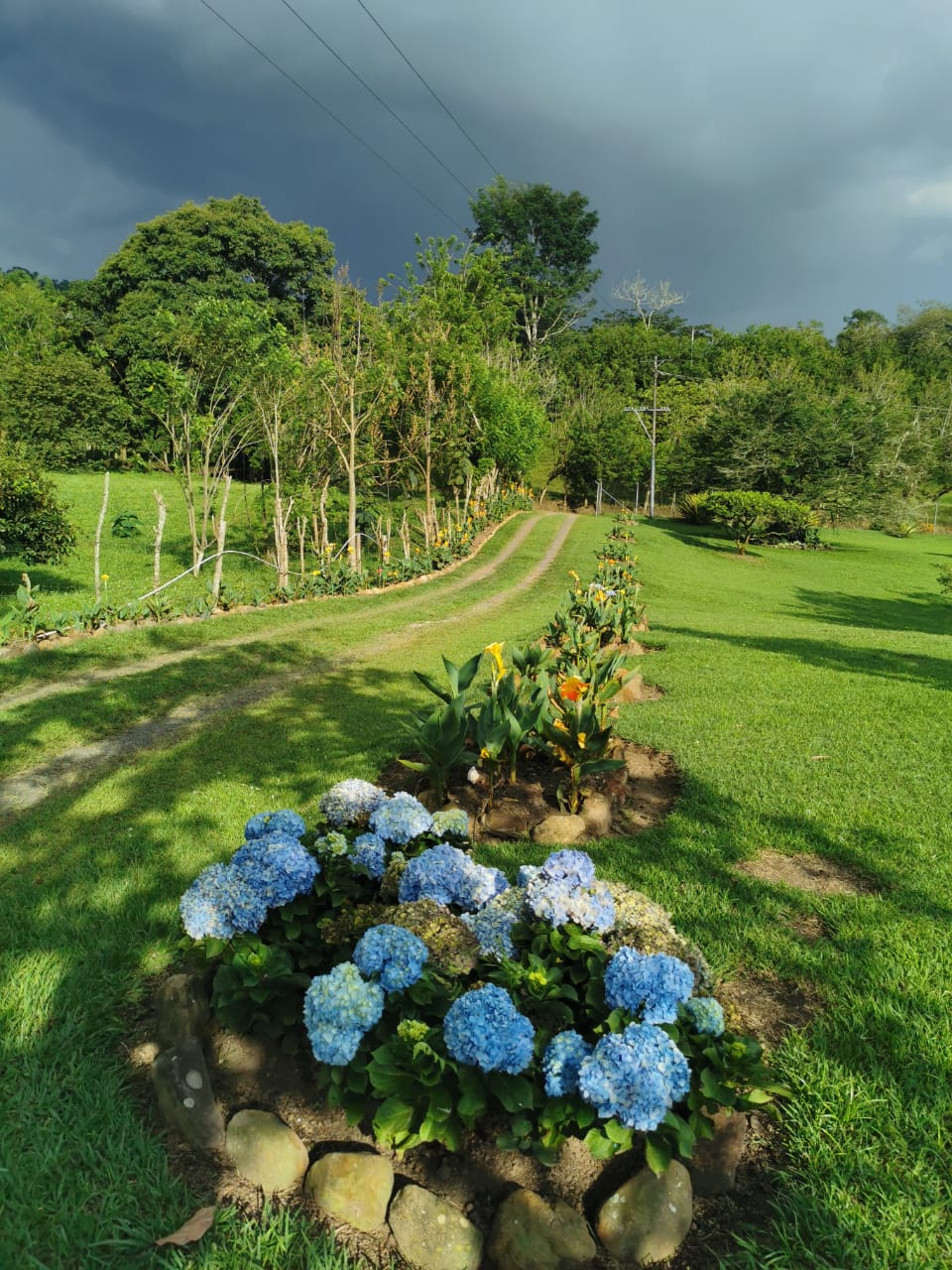 305073120221103045819 VENDO HERMOSA FINCA DE 10.000 M2 a 5 MIN DEL CRUCERO DE COMBIA