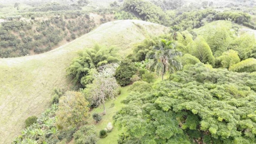 ALQUILER DE FINCA VEREDA EL CONGOLO VIA CONDINA PEREIRA