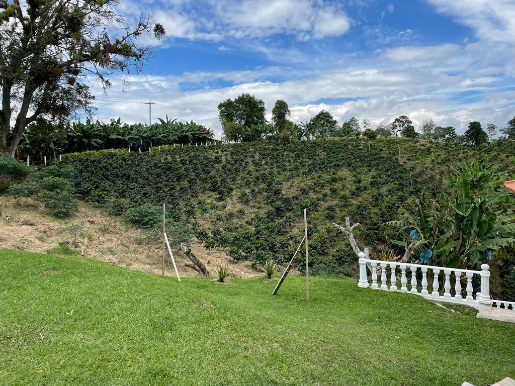 VENDE FINCA ALCALA VALLE