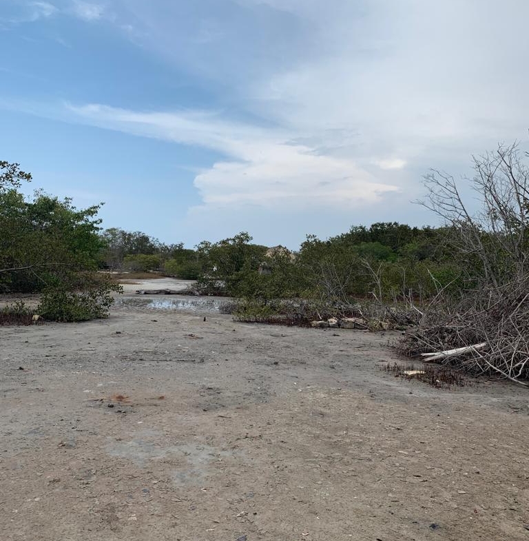 Vende lote Isla Boquerón San Bernardo del Viento