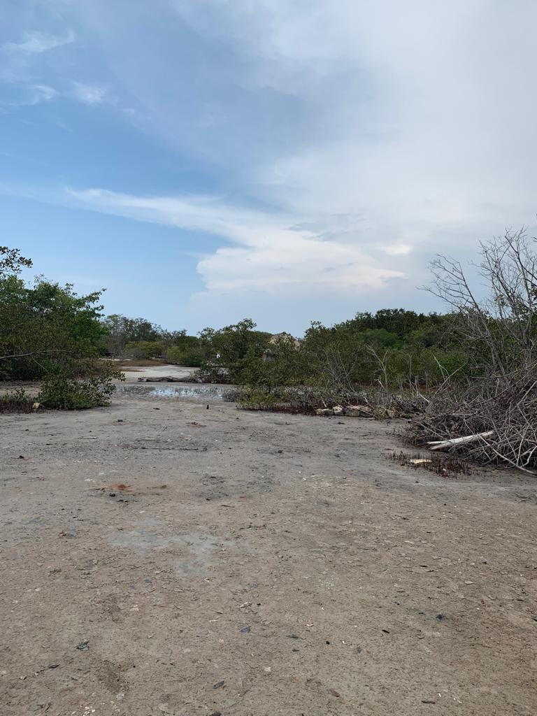 30507320190724061338 Vende lote Isla Boquerón San Bernardo del Viento
