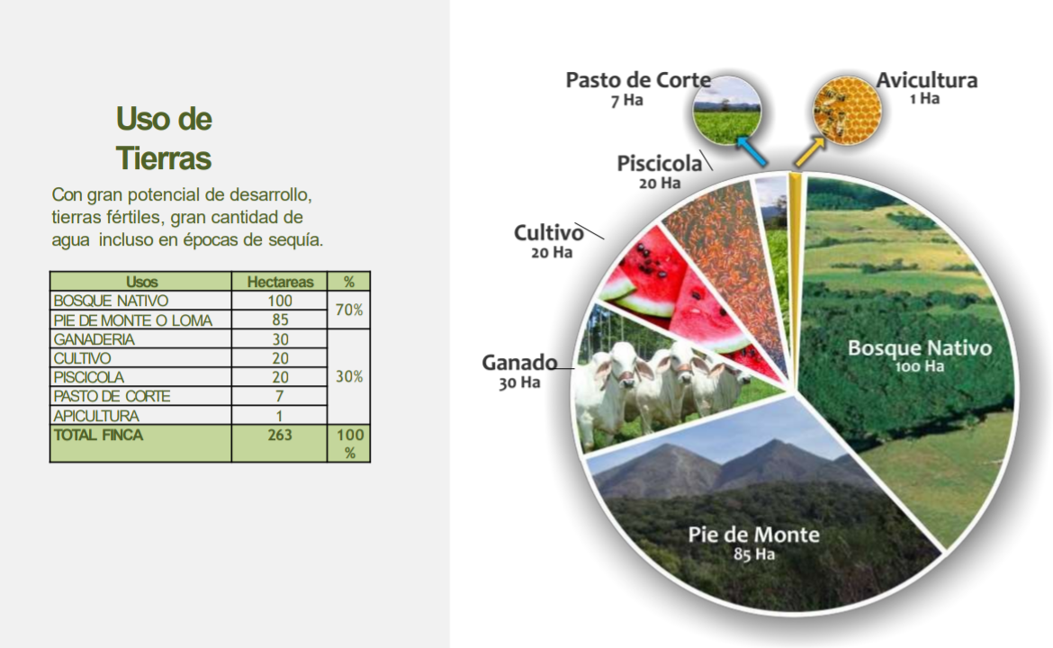 VENTA FINCA 263 HECT. EN VILLA NUEVA CASANARE