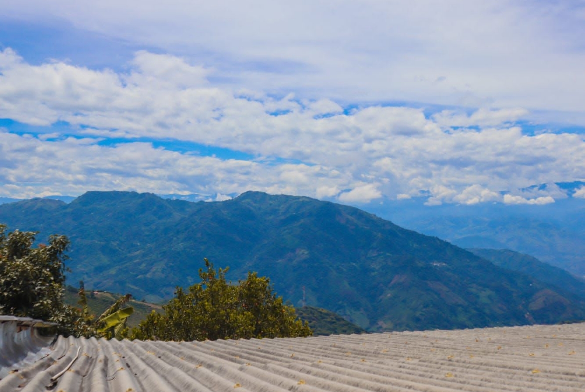 FINCA PARA LA VENTA EN ANSERMA