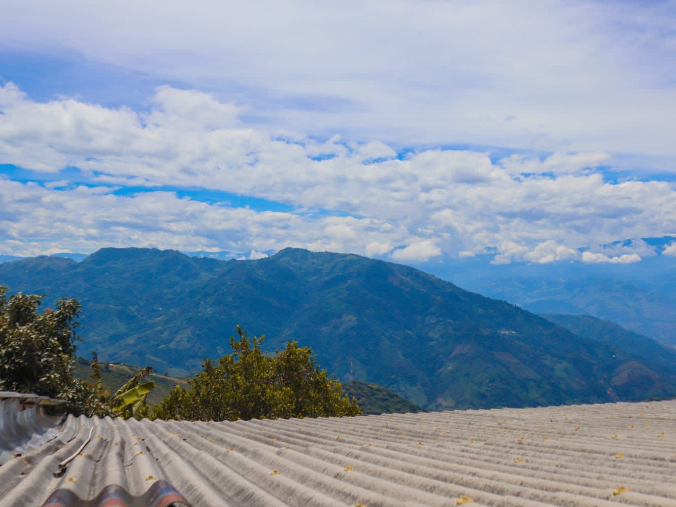 30507320230823035335 FINCA PARA LA VENTA EN ANSERMA