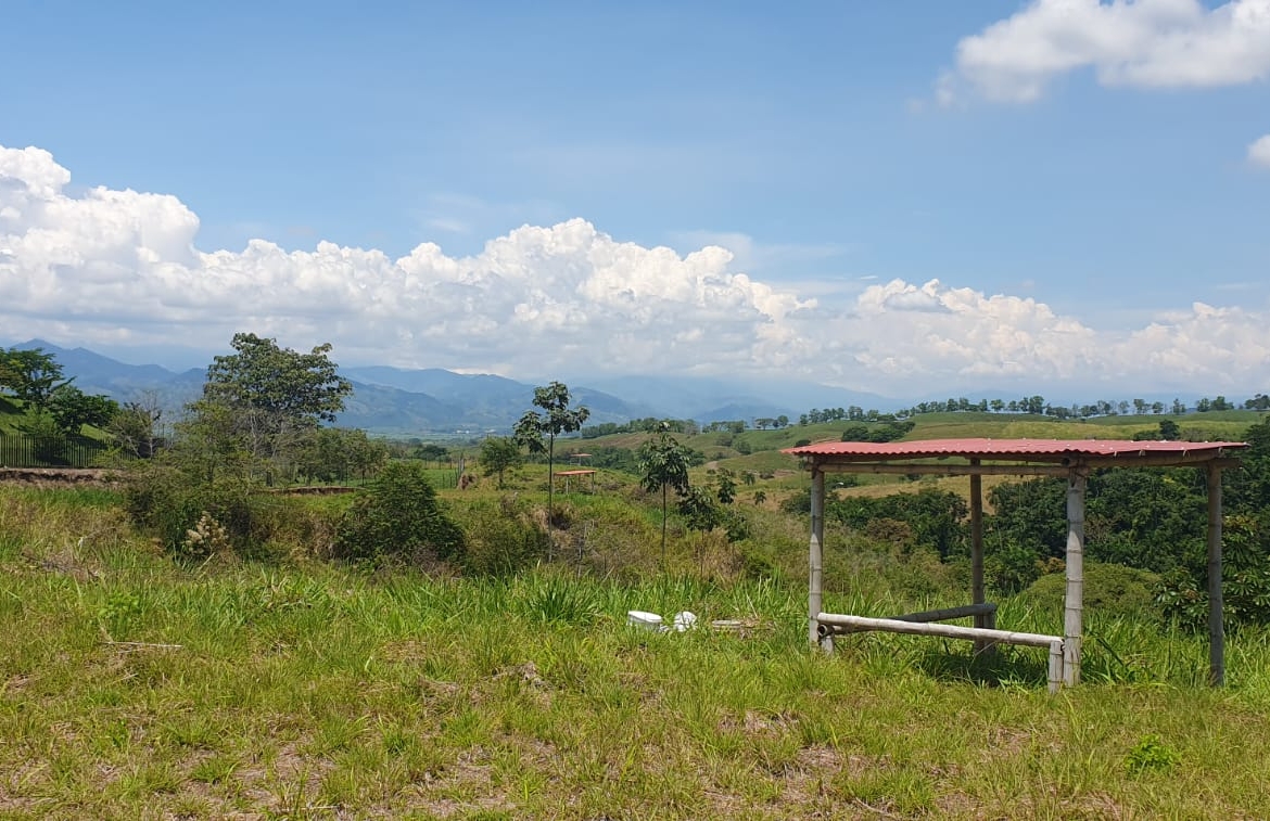 EN VENTA LOTE CERRITOS PEREIRA 10.007 M2
