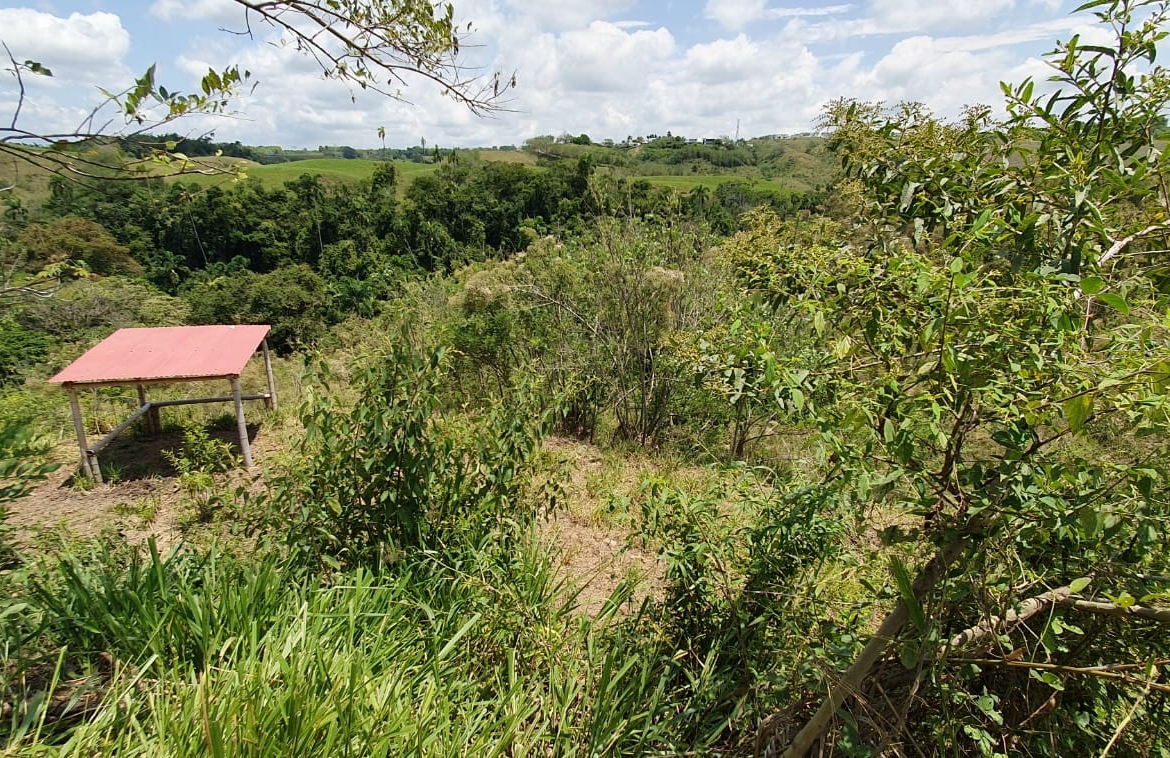 EN VENTA LOTE CERRITOS PEREIRA 11.052