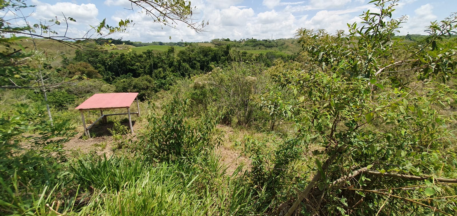 EN VENTA LOTE CERRITOS PEREIRA 11.052