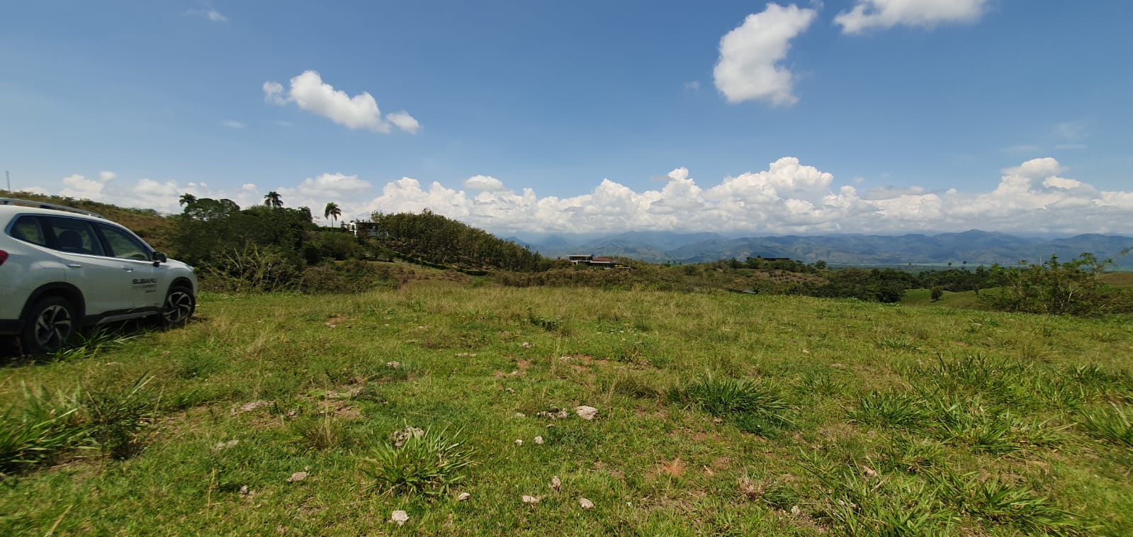 EN VENTA LOTE CERRITOS PEREIRA 11.517 M2