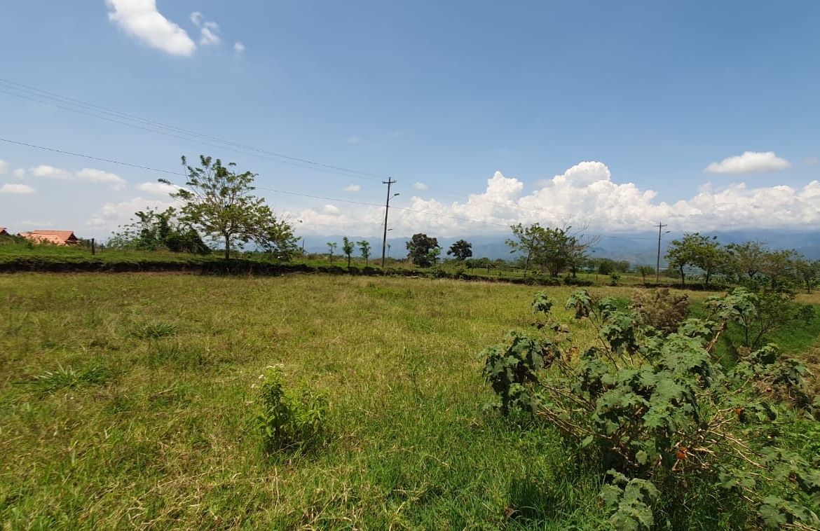 EN VENTA LOTE CERRITOS PEREIRA 11.403 M2
