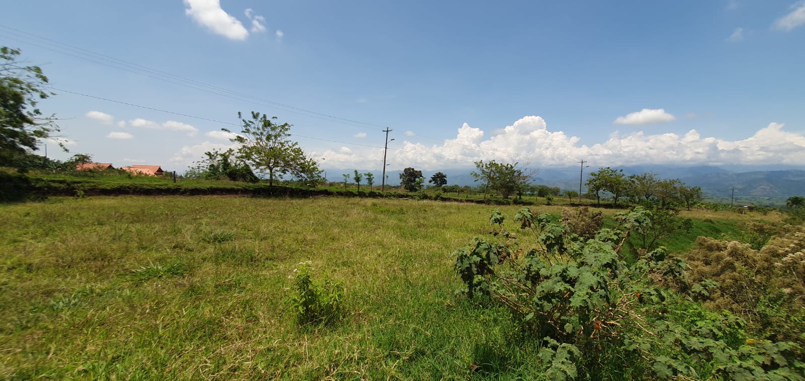 EN VENTA LOTE CERRITOS PEREIRA 11.403 M2
