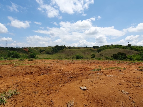 EN VENTA LOTE CERRITOS PEREIRA 13.500 M2