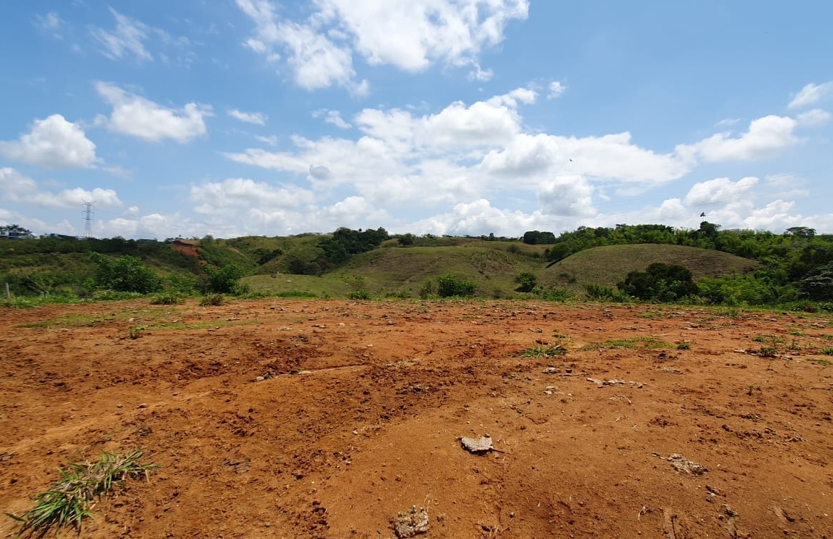 EN VENTA LOTE CERRITOS PEREIRA 13.500 M2