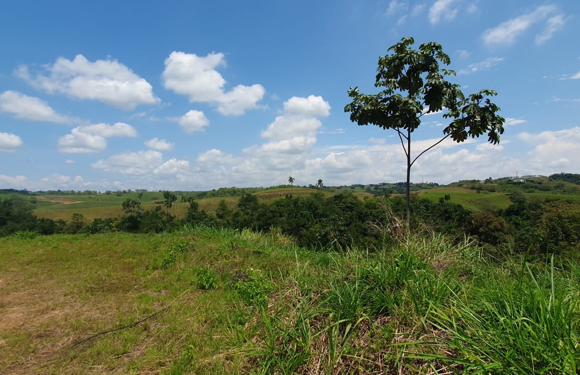 EN VENTA LOTE CERRITOS PEREIRA 10.055 M2