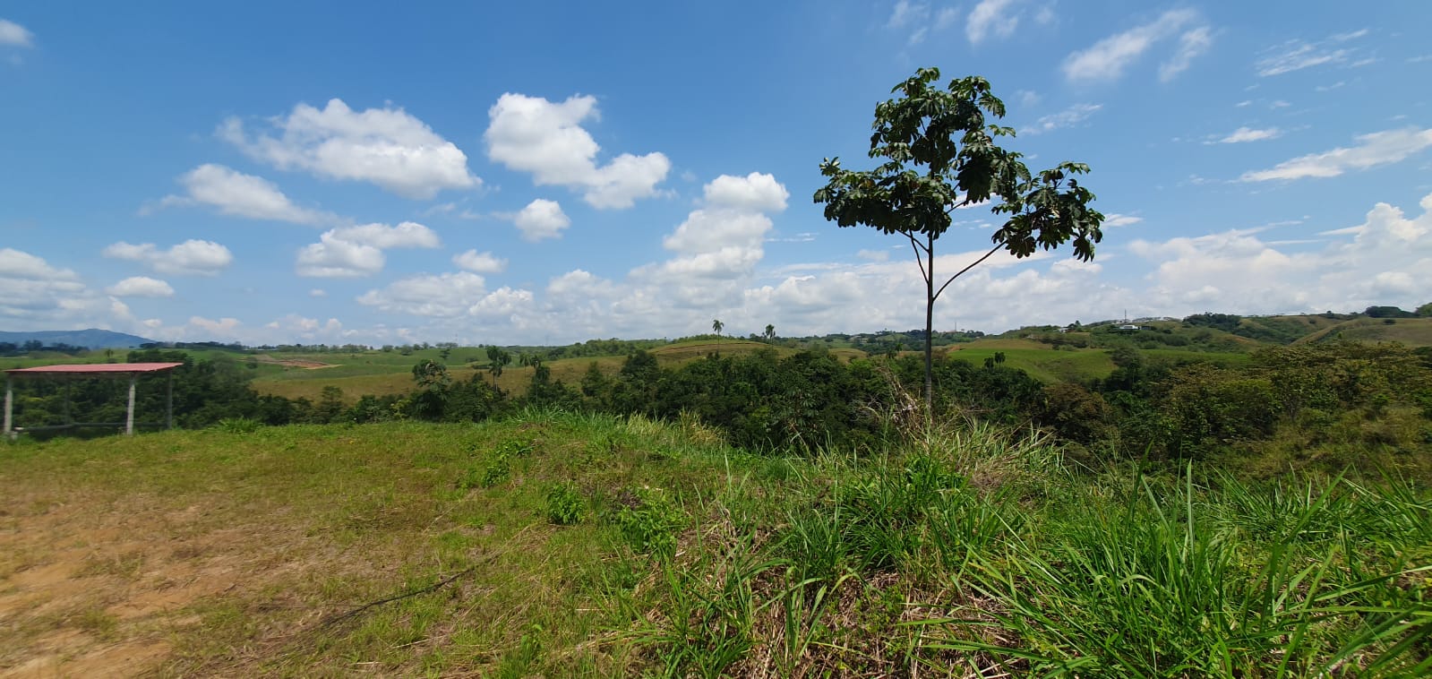 30507320250311120151 EN VENTA LOTE CERRITOS PEREIRA 10.055 M2