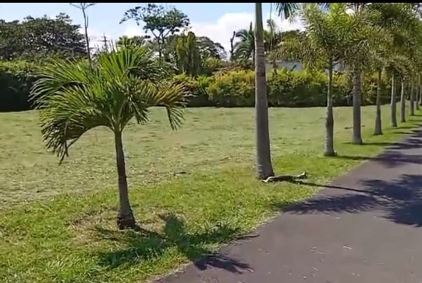 VENDO LOTE VIA CERRITOS LA VIRGINIA PEREIRA