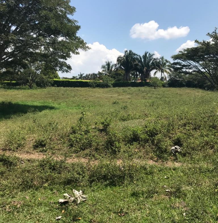 VENTA DE LOTE EN CERRITOS