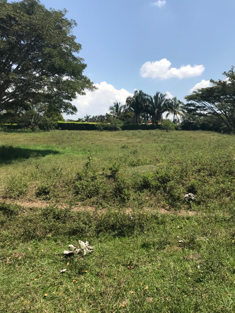 VENTA DE LOTE EN CERRITOS