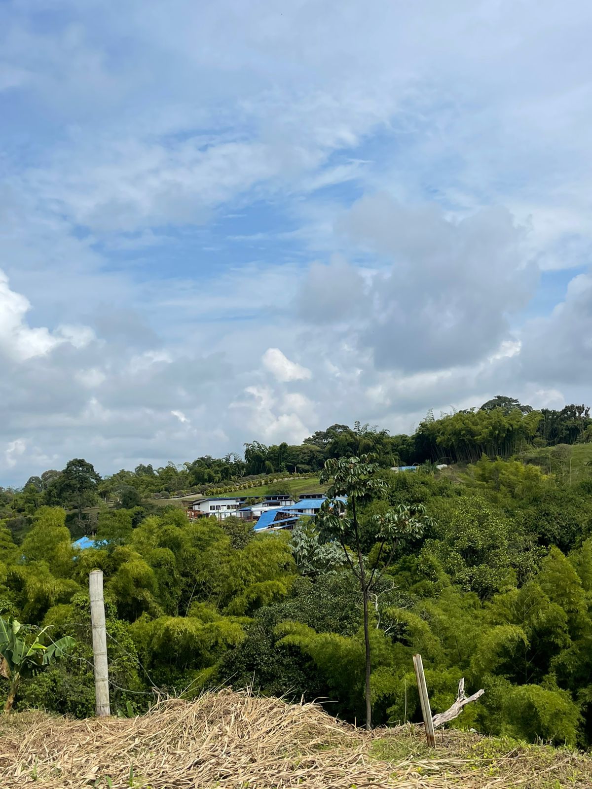 VENTA DE LOTE VÍA CONDINA