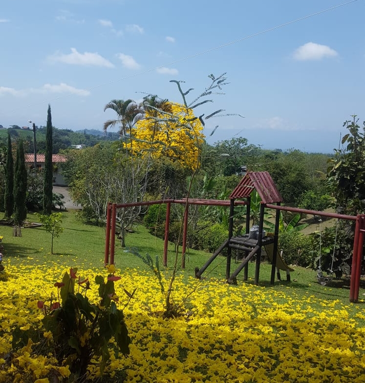 VENDO CASA CAMPESTRE VIA ARMENIA PEREIRA