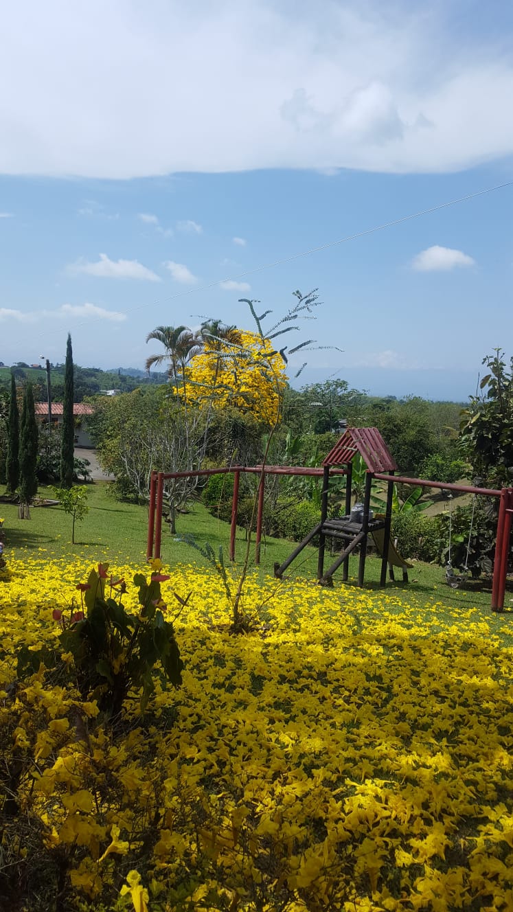 VENDO CASA CAMPESTRE VIA ARMENIA PEREIRA