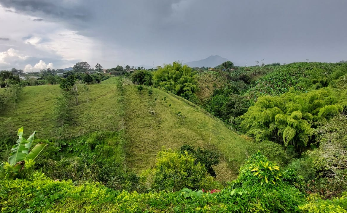 VENDO FINCA EN EL SECTOR DE MORELIA
