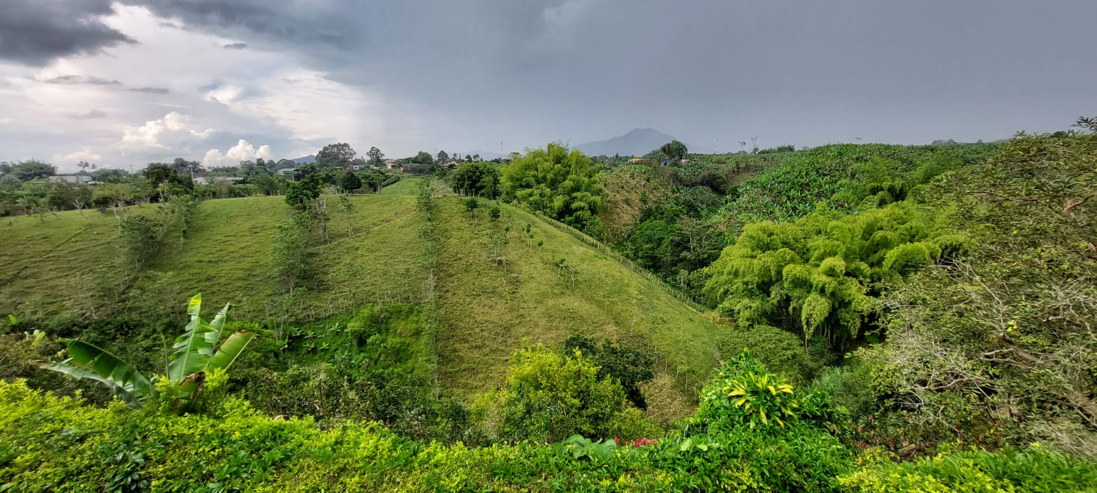 VENDO FINCA EN EL SECTOR DE MORELIA