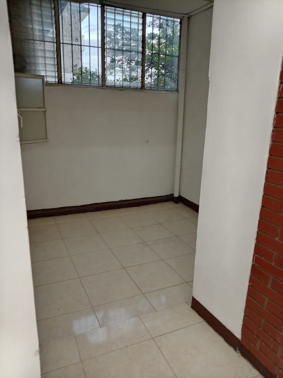 305073320260507104450 LOCAL EN EL CENTRO PARA LA RENTA