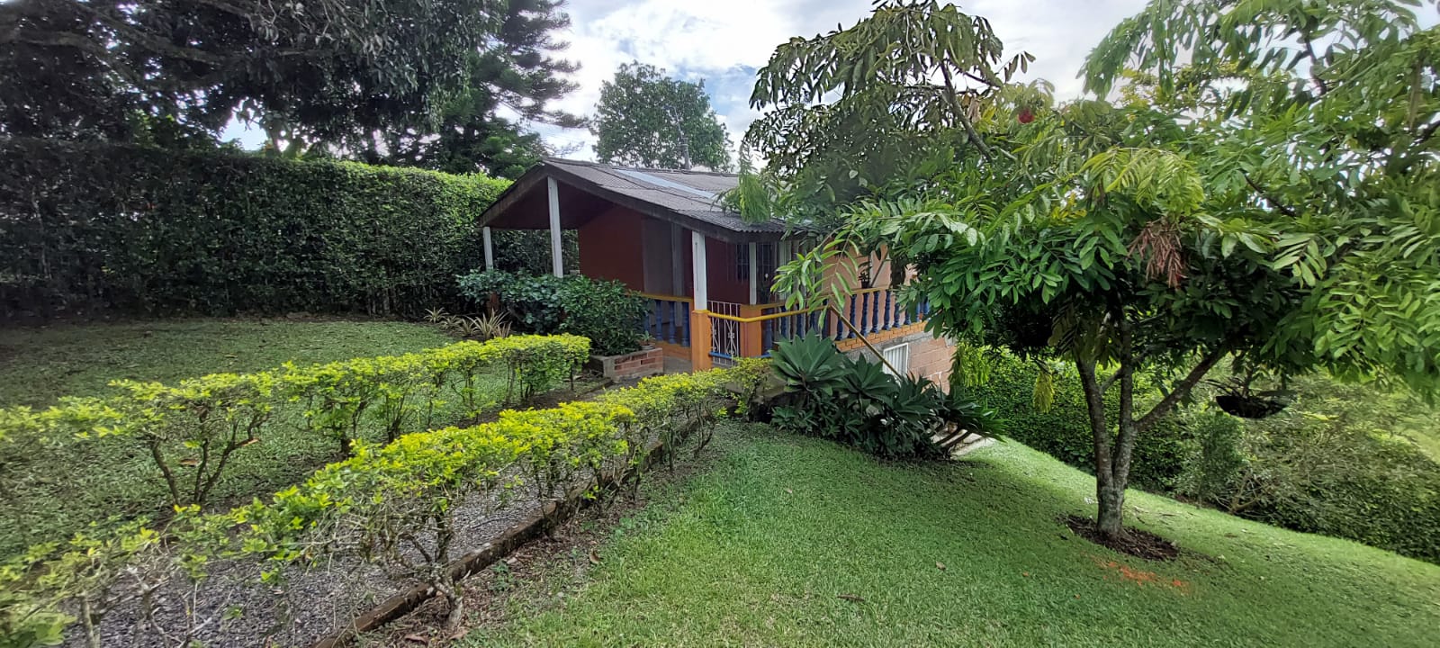 VENDO FINCA EN EL SECTOR DE MORELIA