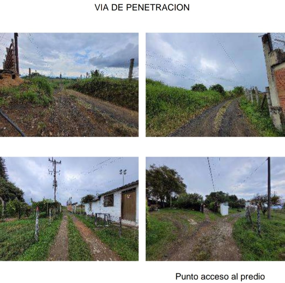 ALQUILER DE FINCA VEREDA EL CONGOLO VIA CONDINA PEREIRA