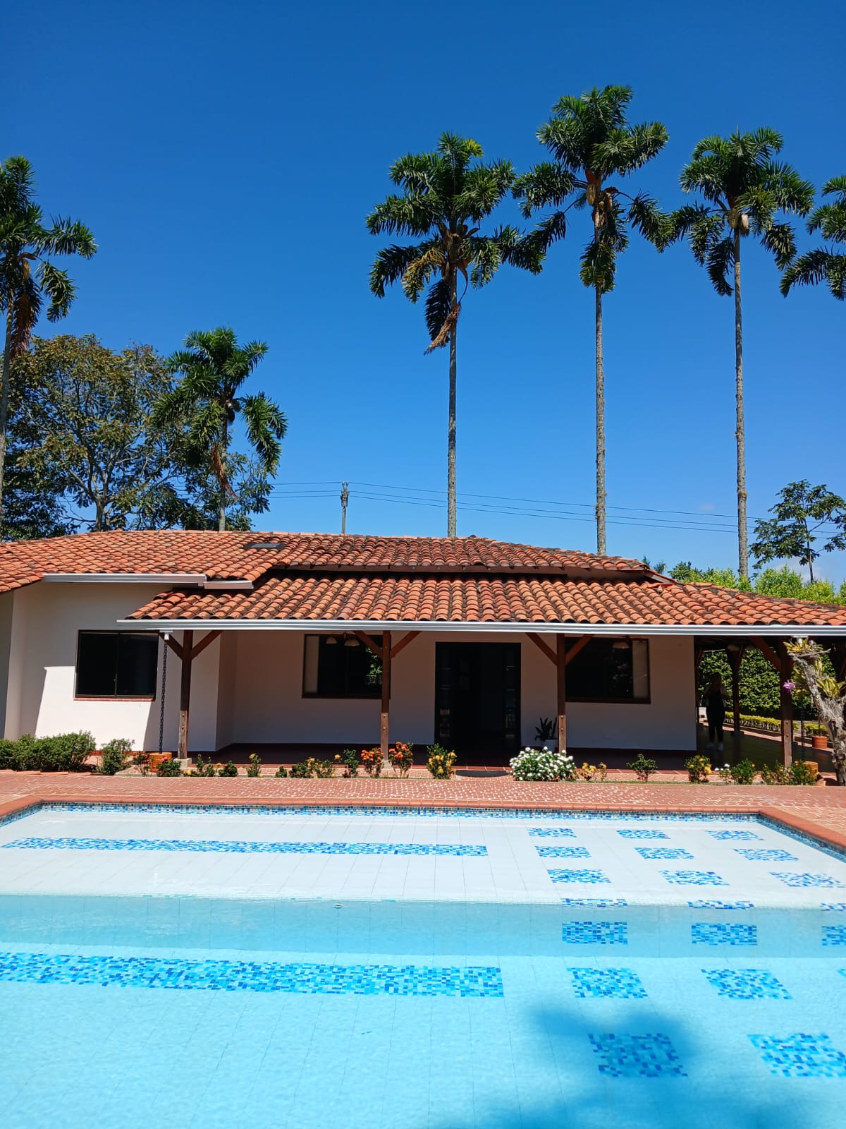 VENDO CASA CAMPESTRE VIA CERRITOS LA VIRGINIA