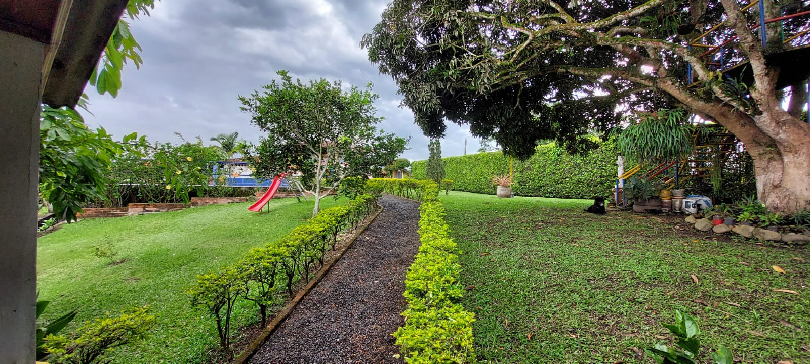 VENDO FINCA EN EL SECTOR DE MORELIA