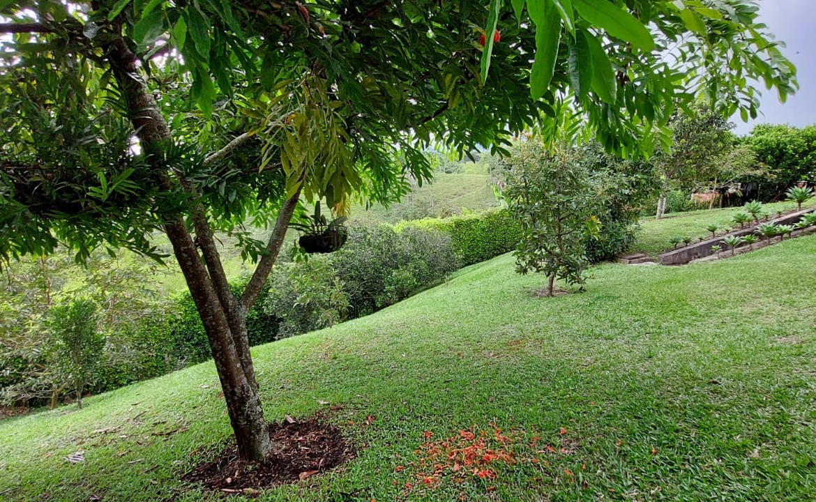 VENDO FINCA EN EL SECTOR DE MORELIA