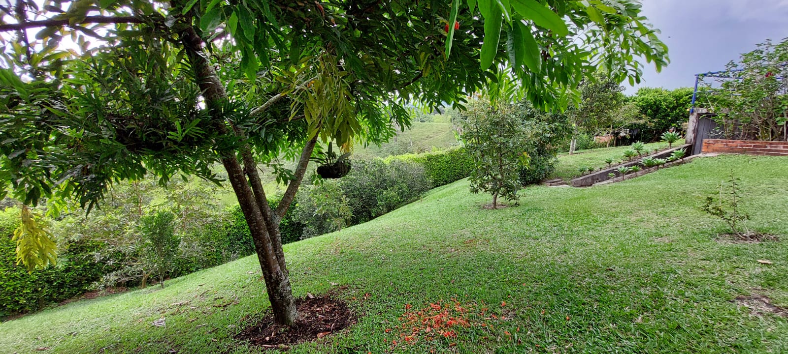 VENDO FINCA EN EL SECTOR DE MORELIA