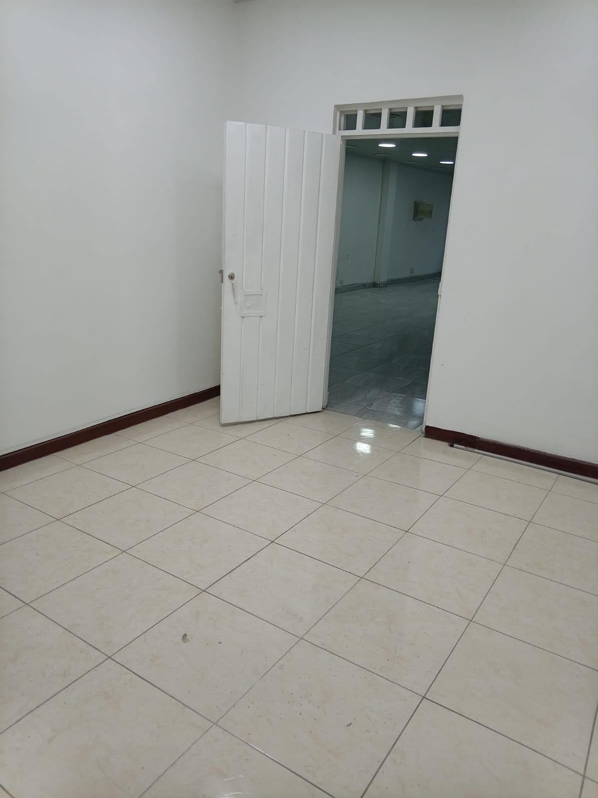 305073720260507104452 LOCAL EN EL CENTRO PARA LA RENTA