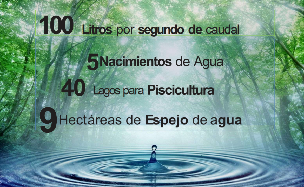 VENTA FINCA 263 HECT. EN VILLA NUEVA CASANARE