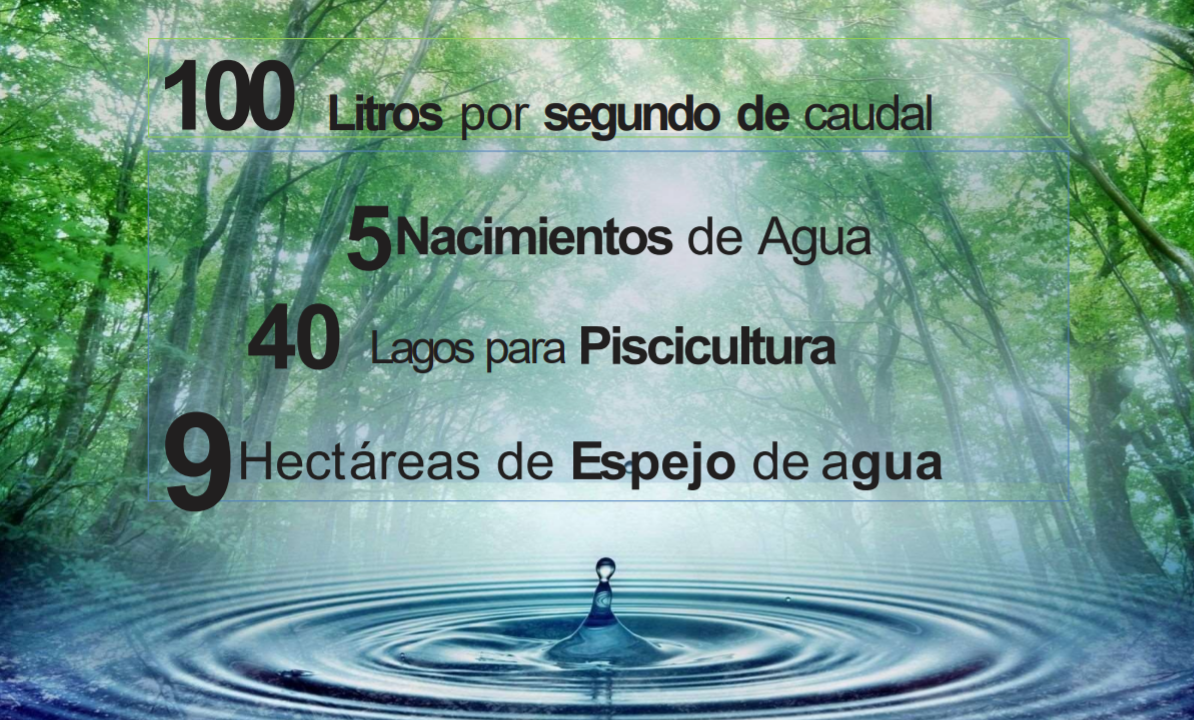 30507420190822042408 VENTA FINCA 263 HECT. EN VILLA NUEVA CASANARE