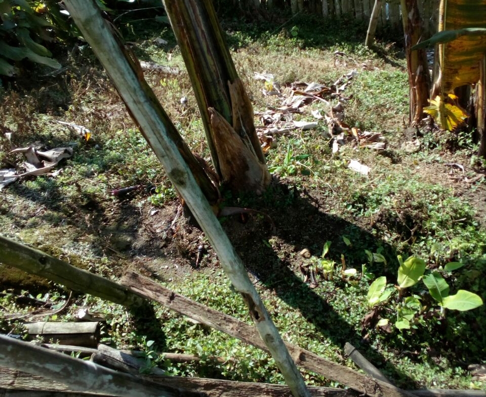 VENTA CASA LOTE SANTAROSA DE CABAL