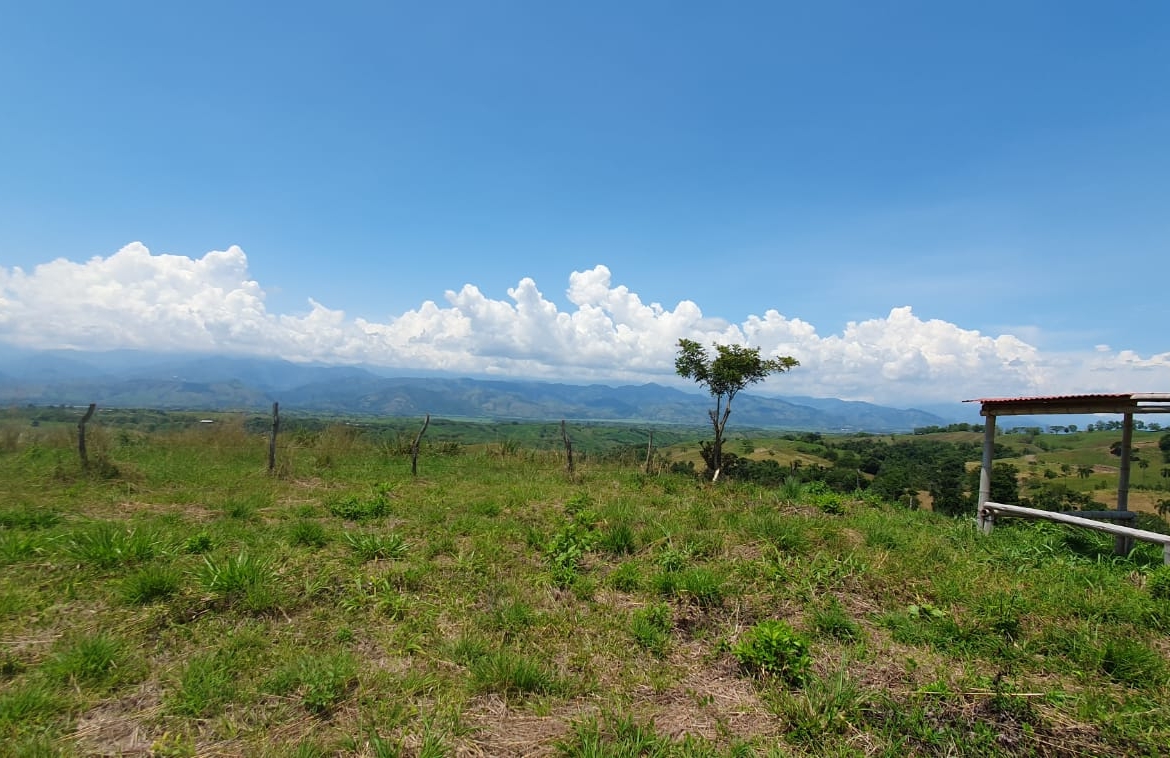 EN VENTA LOTE CERRITOS PEREIRA 11.027M2