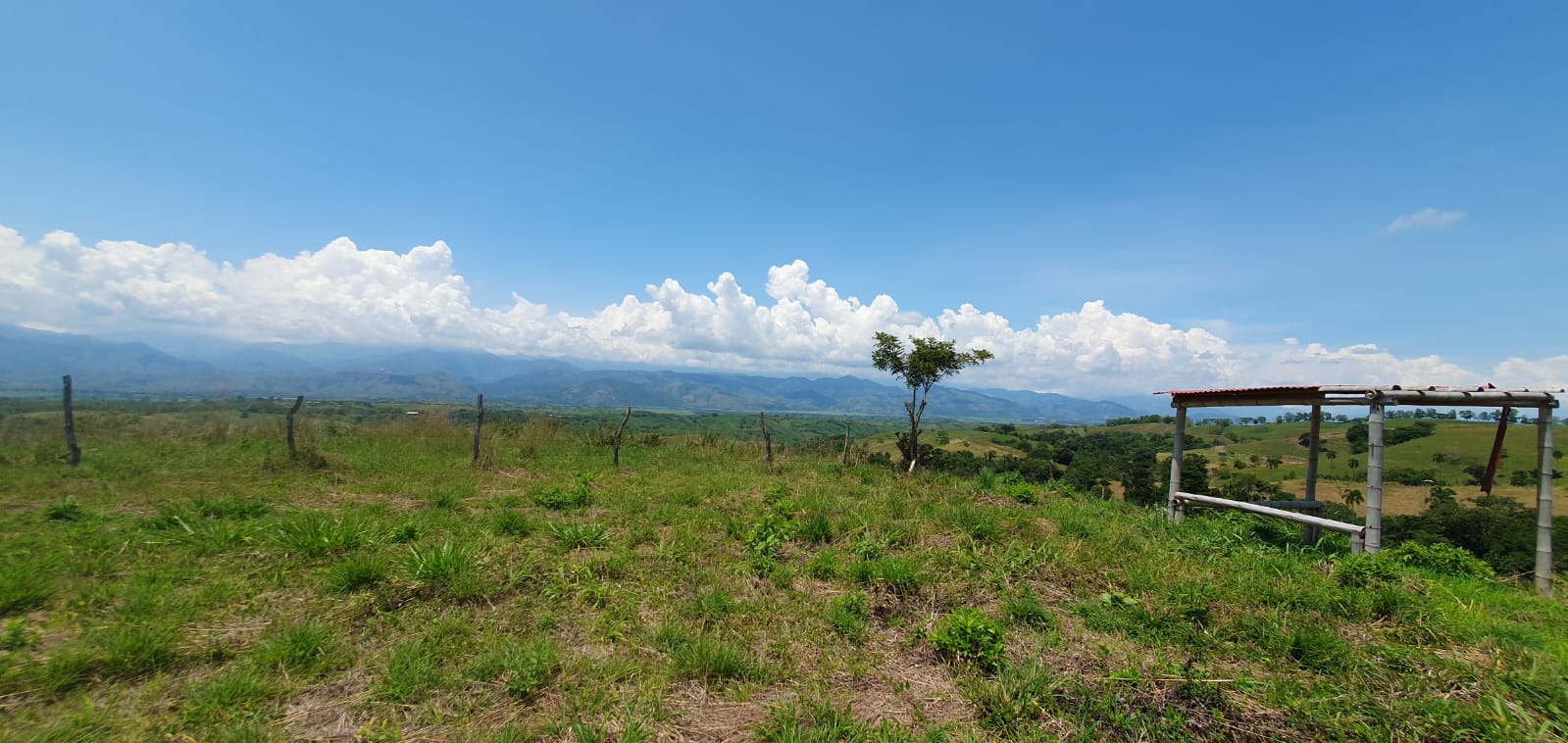 30507420250311061344 EN VENTA LOTE CERRITOS PEREIRA 11.027M2