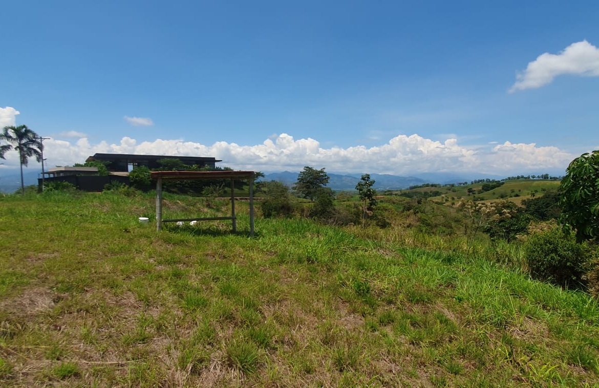 EN VENTA LOTE CERRITOS PEREIRA 10.007 M2