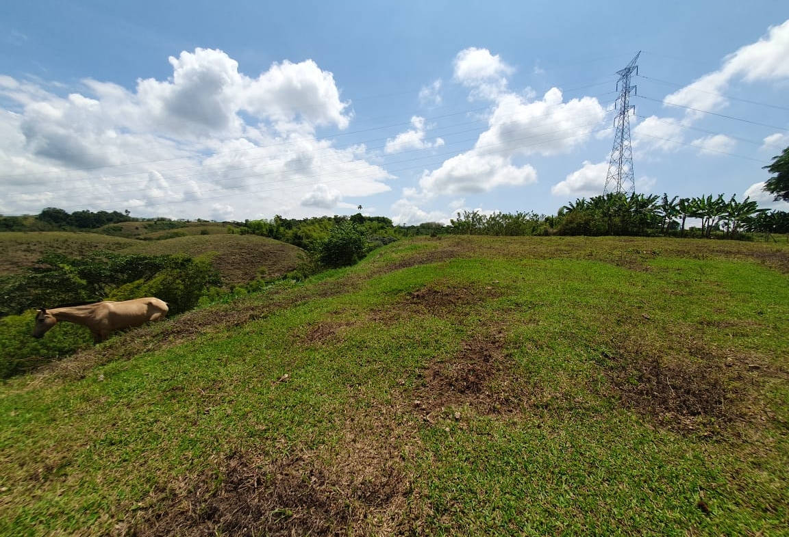 EN VENTA LOTE CERRITOS PEREIRA 13.000 M2