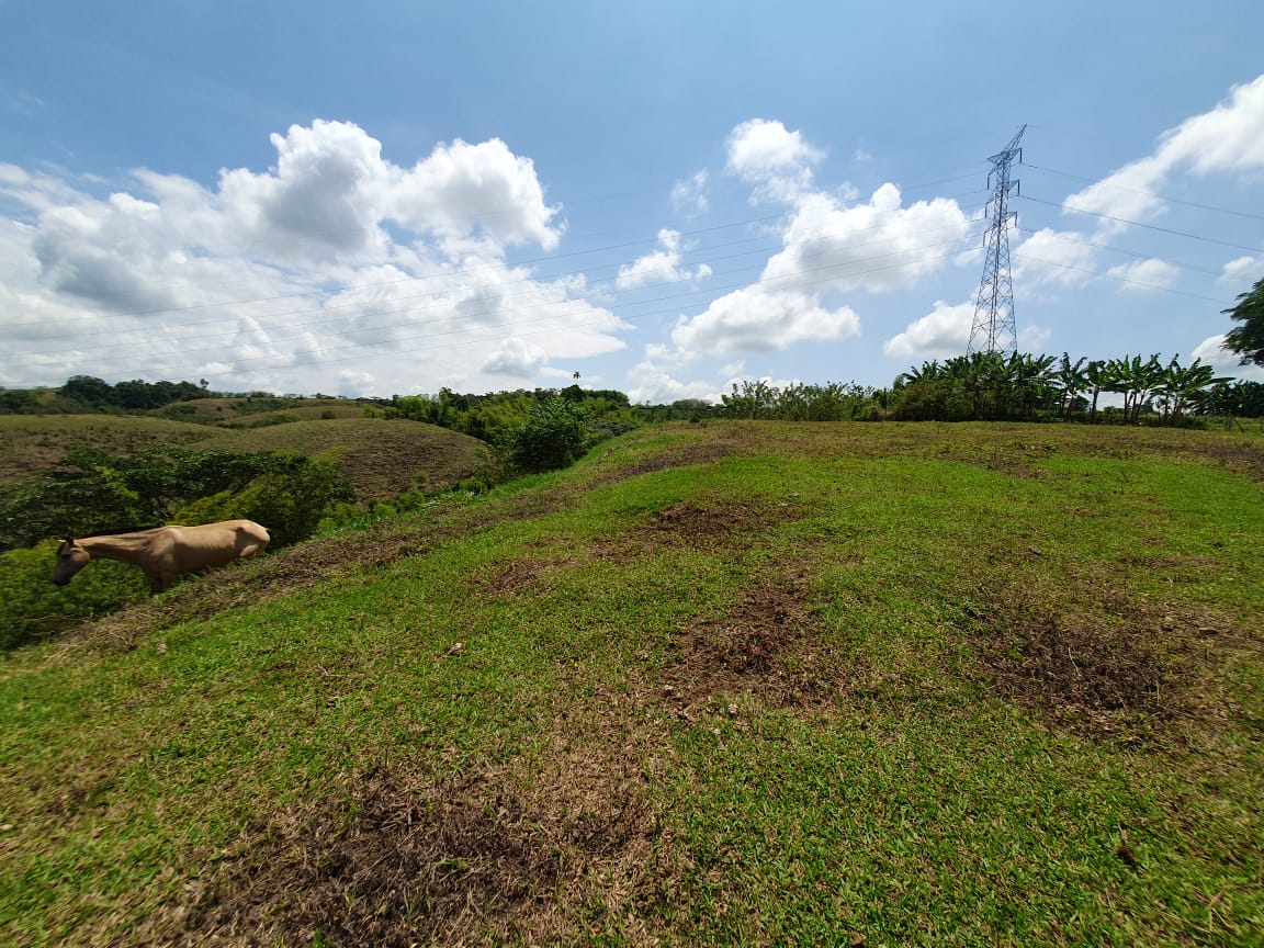 EN VENTA LOTE CERRITOS PEREIRA 13.000 M2
