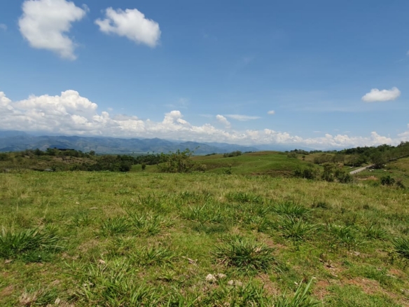 EN VENTA LOTE CERRITOS PEREIRA 11.517 M2