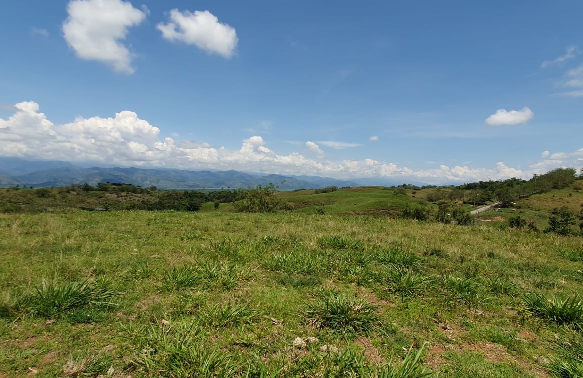 EN VENTA LOTE CERRITOS PEREIRA 11.517 M2