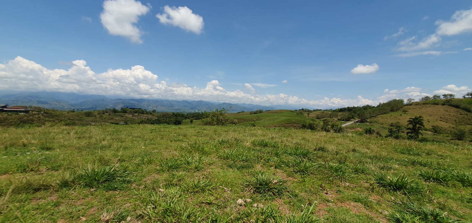 EN VENTA LOTE CERRITOS PEREIRA 11.517 M2