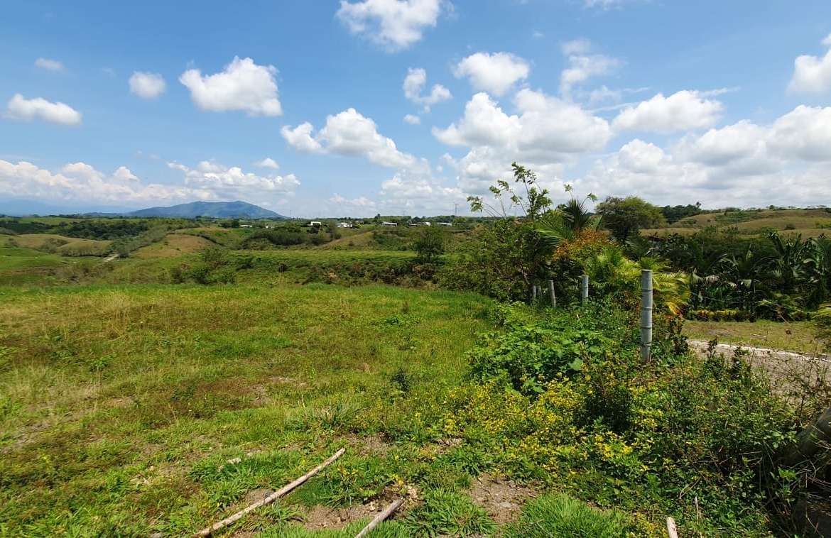 EN VENTA LOTE CERRITOS PEREIRA 11.403 M2