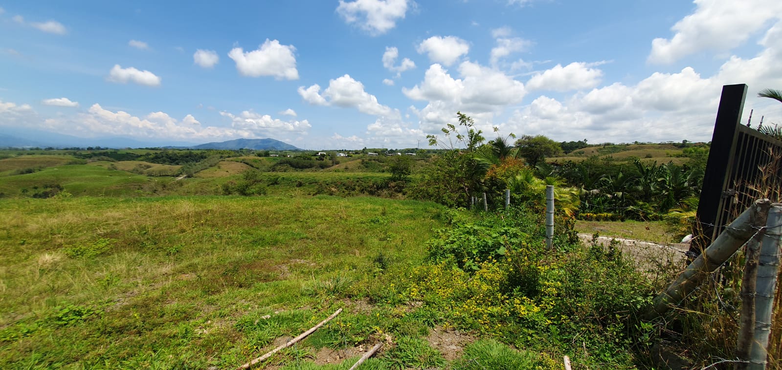 EN VENTA LOTE CERRITOS PEREIRA 11.403 M2