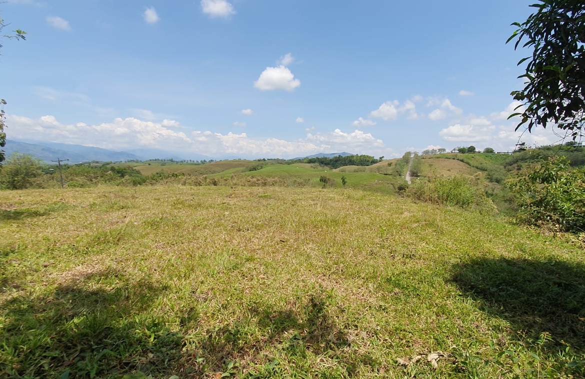 EN VENTA LOTE CERRITOS PEREIRA 11.103 M2
