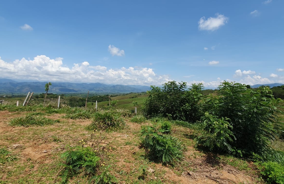 EN VENTA LOTE CERRITOS PEREIRA 13.500 M2