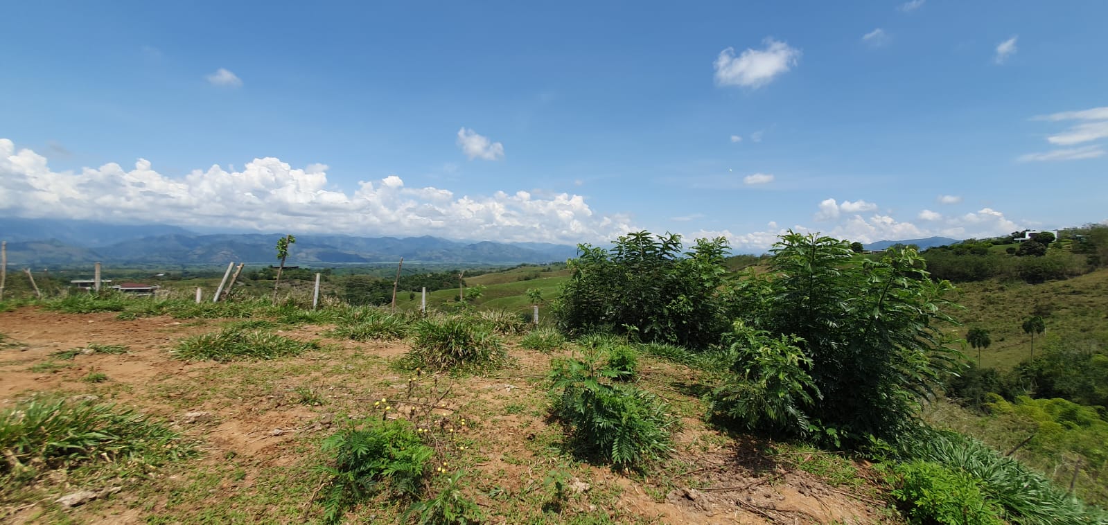 EN VENTA LOTE CERRITOS PEREIRA 13.500 M2